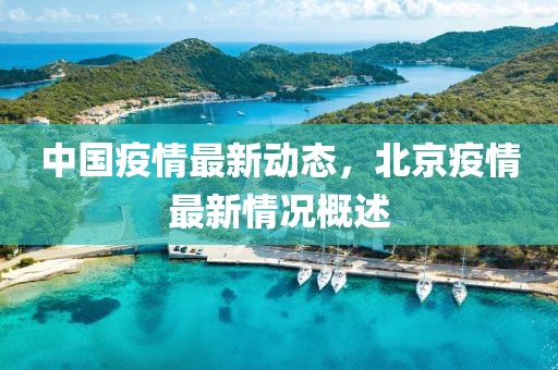中国疫情最新动态，北京疫情最新情况概述