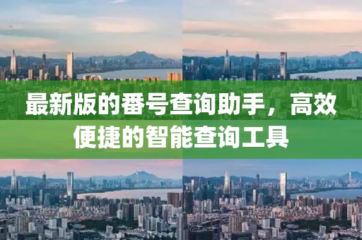 最新版的番号查询助手，高效便捷的智能查询工具