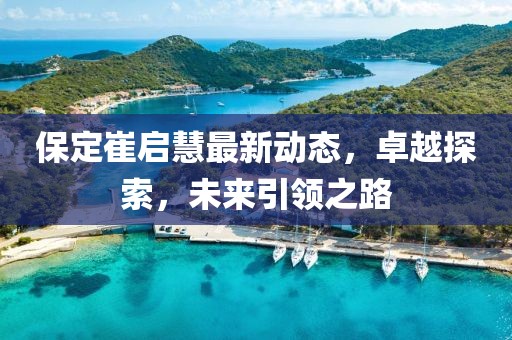 保定崔启慧最新动态，卓越探索，未来引领之路