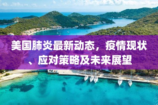 美国肺炎最新动态，疫情现状、应对策略及未来展望