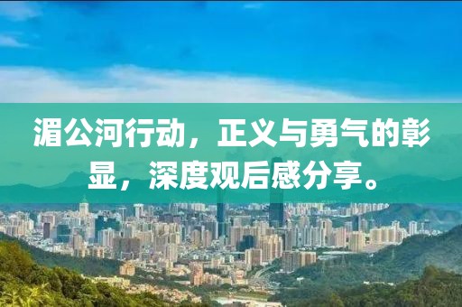 湄公河行动，正义与勇气的彰显，深度观后感分享。
