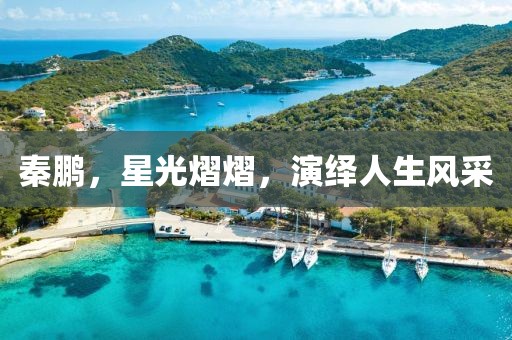秦鹏，星光熠熠，演绎人生风采
