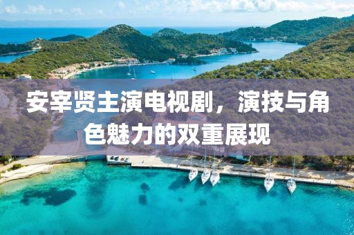 安宰贤主演电视剧，演技与角色魅力的双重展现