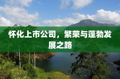 怀化上市公司，繁荣与蓬勃发展之路