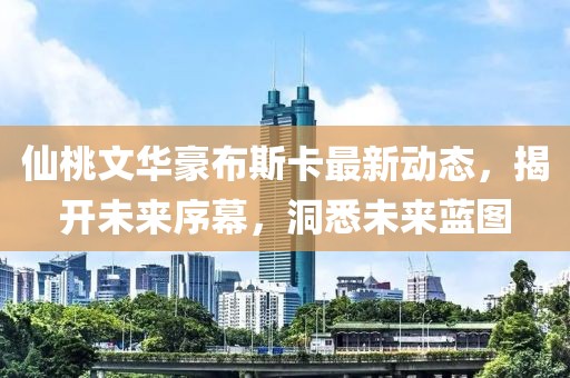 仙桃文华豪布斯卡最新动态，揭开未来序幕，洞悉未来蓝图