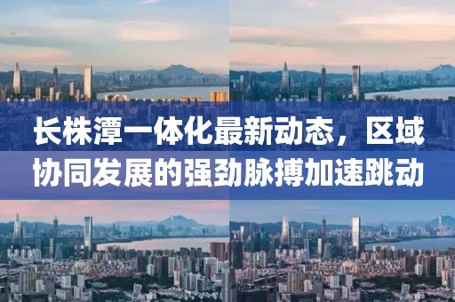 长株潭一体化最新动态，区域协同发展的强劲脉搏加速跳动