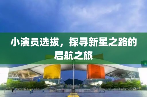 小演员选拔，探寻新星之路的启航之旅