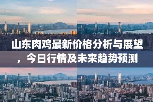 2025年1月 第516页