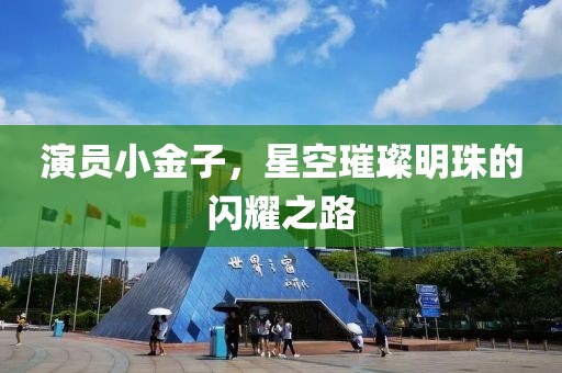 演员小金子，星空璀璨明珠的闪耀之路