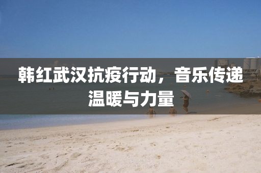 韩红武汉抗疫行动，音乐传递温暖与力量