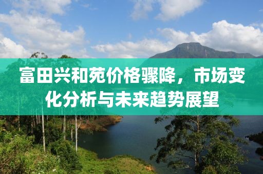 富田兴和苑价格骤降，市场变化分析与未来趋势展望