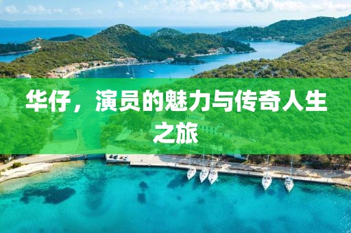 华仔，演员的魅力与传奇人生之旅