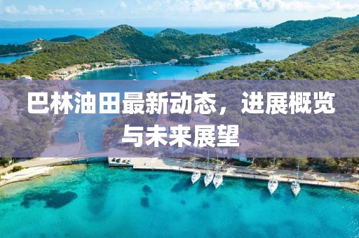 巴林油田最新动态，进展概览与未来展望