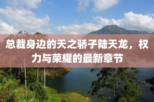 总裁身边的天之骄子陆天龙，权力与荣耀的最新章节
