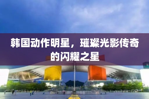 韩国动作明星，璀璨光影传奇的闪耀之星
