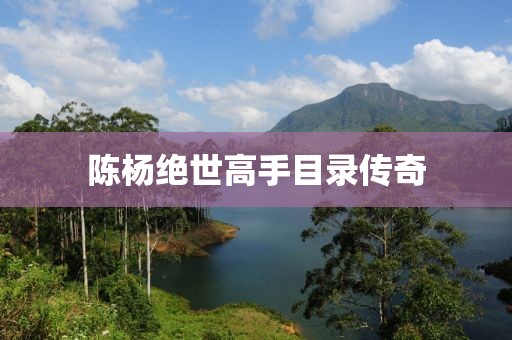 陈杨绝世高手目录传奇