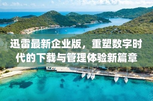 迅雷最新企业版，重塑数字时代的下载与管理体验新篇章