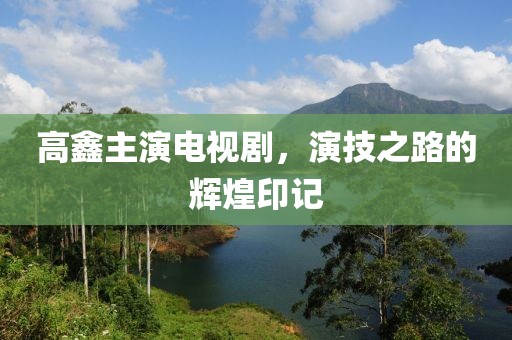 高鑫主演电视剧，演技之路的辉煌印记