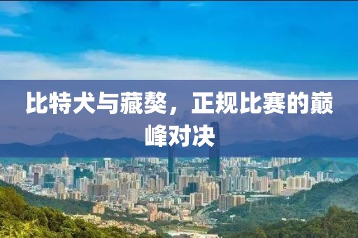 比特犬与藏獒，正规比赛的巅峰对决