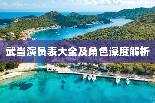 武当演员表大全及角色深度解析