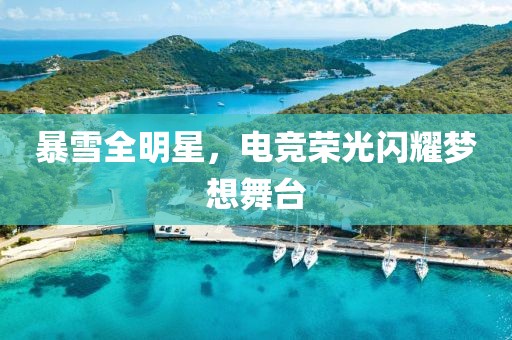暴雪全明星，电竞荣光闪耀梦想舞台