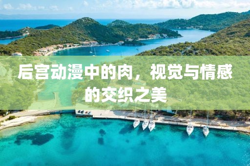 后宫动漫中的肉，视觉与情感的交织之美