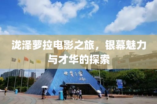 泷泽萝拉电影之旅，银幕魅力与才华的探索