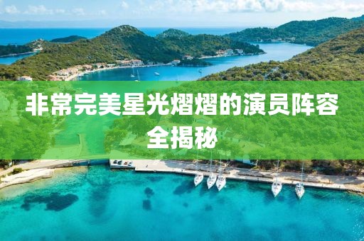 非常完美星光熠熠的演员阵容全揭秘