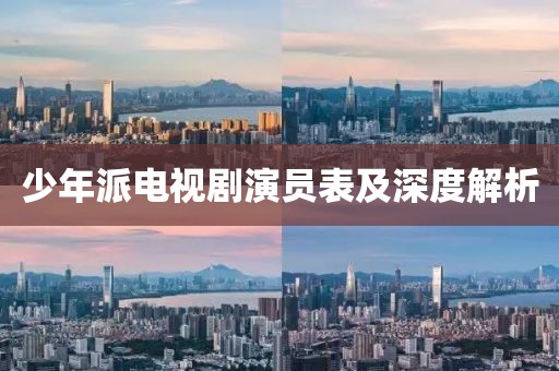 少年派电视剧演员表及深度解析