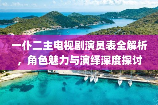 一仆二主电视剧演员表全解析，角色魅力与演绎深度探讨