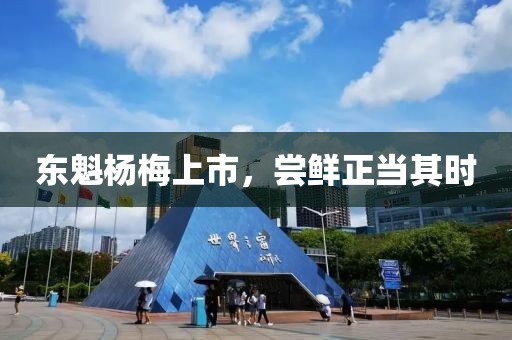 东魁杨梅上市，尝鲜正当其时