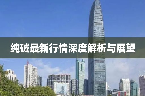 纯碱最新行情深度解析与展望