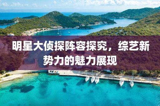 明星大侦探阵容探究，综艺新势力的魅力展现