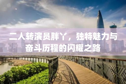 二人转演员胖丫，独特魅力与奋斗历程的闪耀之路
