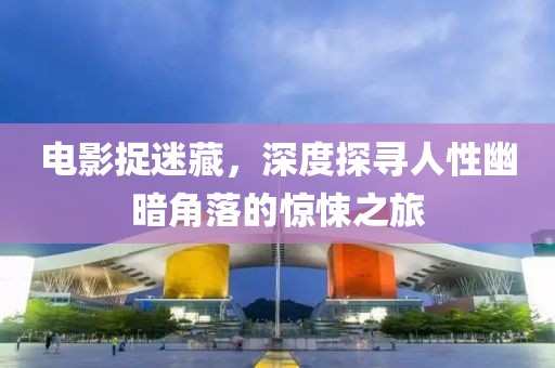 电影捉迷藏，深度探寻人性幽暗角落的惊悚之旅
