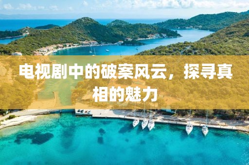 电视剧中的破案风云，探寻真相的魅力