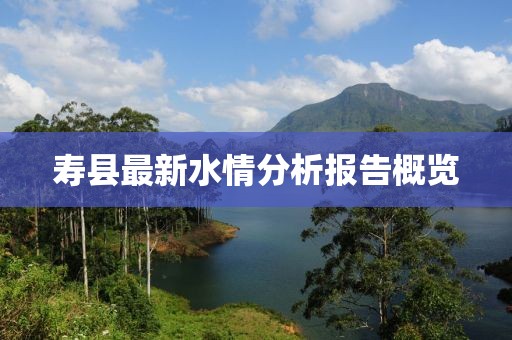 寿县最新水情分析报告概览