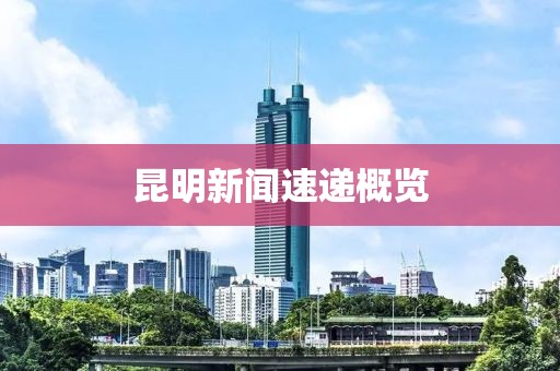 昆明新闻速递概览