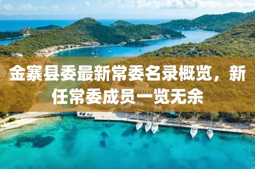 金寨县委最新常委名录概览，新任常委成员一览无余