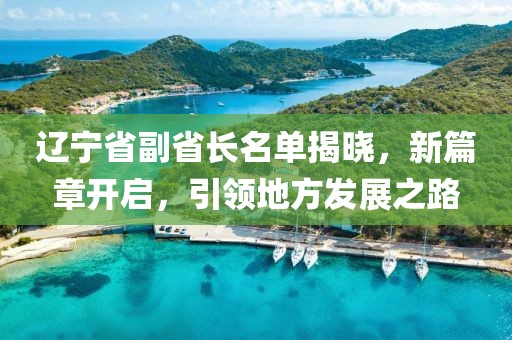 辽宁省副省长名单揭晓，新篇章开启，引领地方发展之路