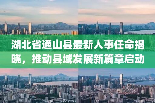 湖北省通山县最新人事任命揭晓，推动县域发展新篇章启动