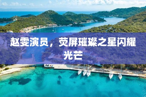 赵雯演员，荧屏璀璨之星闪耀光芒