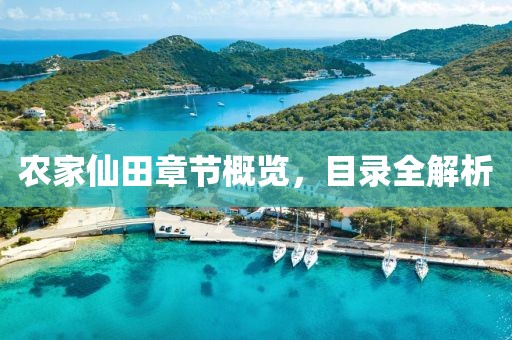 农家仙田章节概览，目录全解析