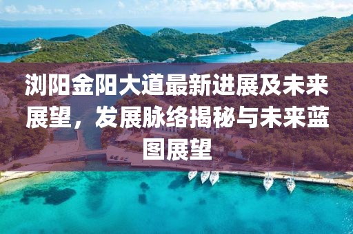 浏阳金阳大道最新进展及未来展望，发展脉络揭秘与未来蓝图展望