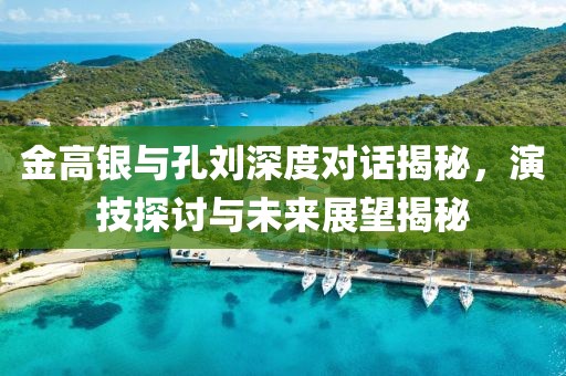 金高银与孔刘深度对话揭秘，演技探讨与未来展望揭秘