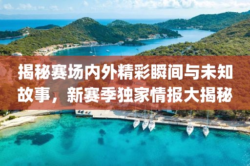 揭秘赛场内外精彩瞬间与未知故事，新赛季独家情报大揭秘