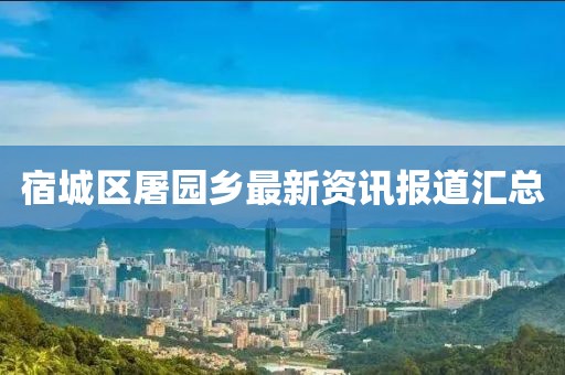 宿城区屠园乡最新资讯报道汇总