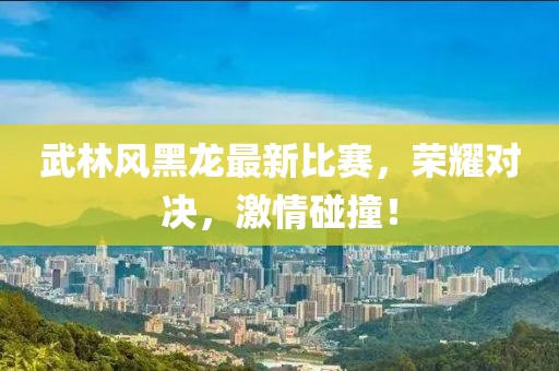 武林风黑龙最新比赛，荣耀对决，激情碰撞！