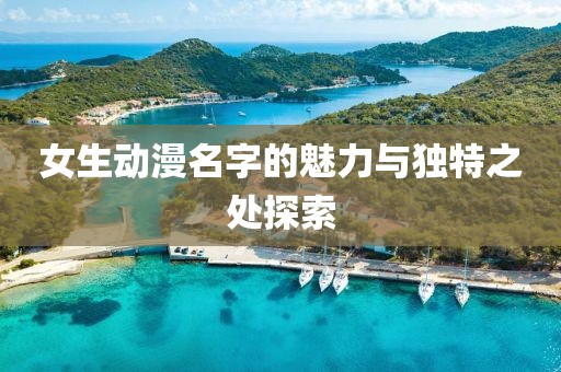 女生动漫名字的魅力与独特之处探索
