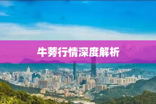 牛蒡行情深度解析